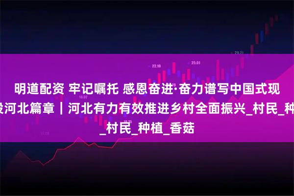 明道配资 牢记嘱托 感恩奋进·奋力谱写中国式现代化建设河北篇章|河北有力有效推进乡村全面振兴_村民_种植_香菇