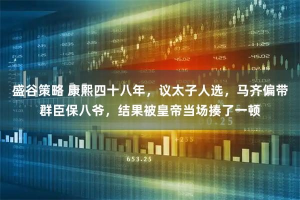 盛谷策略 康熙四十八年，议太子人选，马齐偏带群臣保八爷，结果被皇帝当场揍了一顿