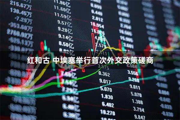 红和古 中埃塞举行首次外交政策磋商