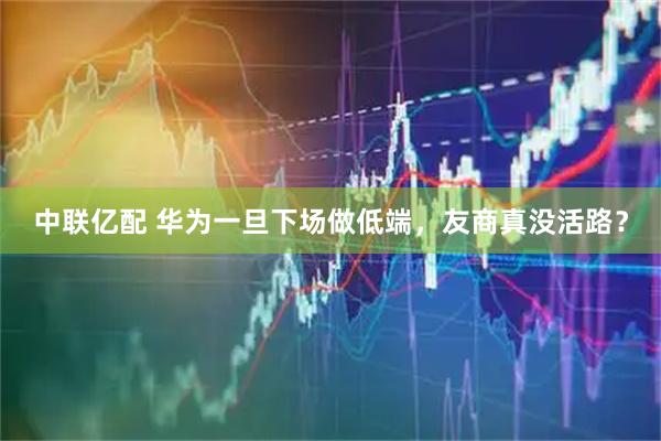 中联亿配 华为一旦下场做低端，友商真没活路？