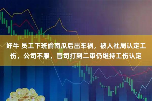 好牛 员工下班偷南瓜后出车祸，被人社局认定工伤，公司不服，官司打到二审仍维持工伤认定