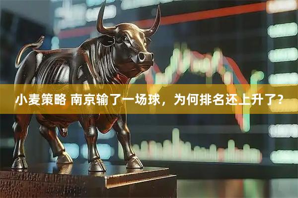 小麦策略 南京输了一场球，为何排名还上升了？